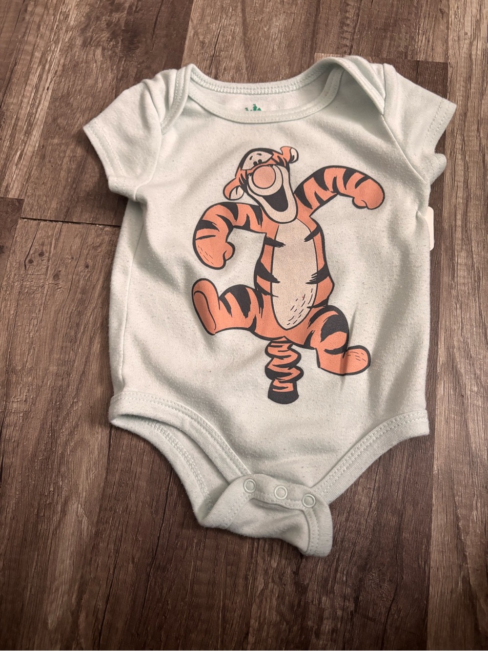Disney Light Mint Baby One-Piece with Orange Tigger Graphic. 210